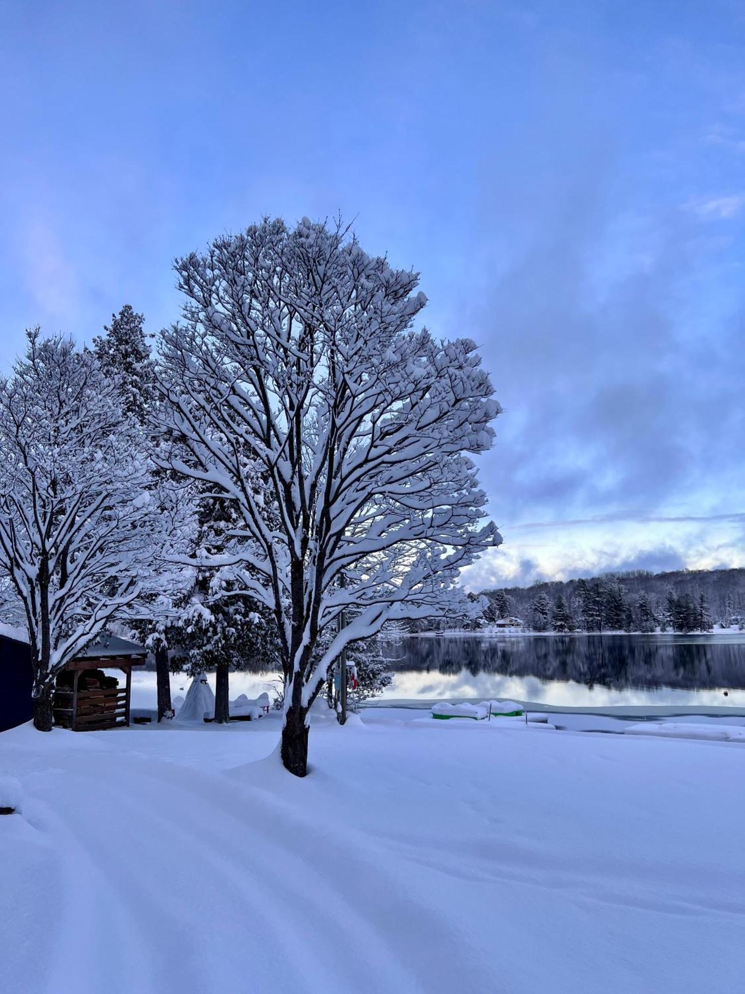 Bonnie View Inn Халибертон Экстерьер фото